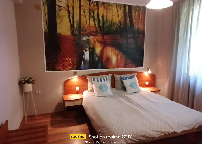 Gorski Kat Kiten (Burgas)